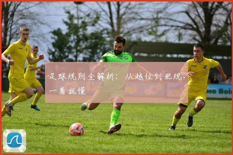 足球规则全解析：从越位到犯规，一看就懂